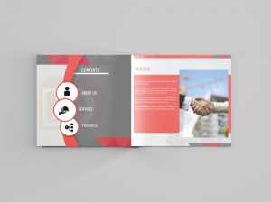 dana-al-jazeera-brochure2