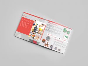 dana-al-jazeera-brochure3