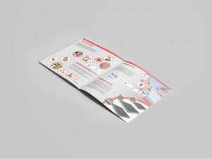 dana-al-jazeera-brochure4