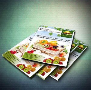 abdul-aziz-leaflet-2